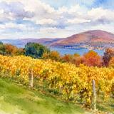 Canandaigua Lake Wine Trail