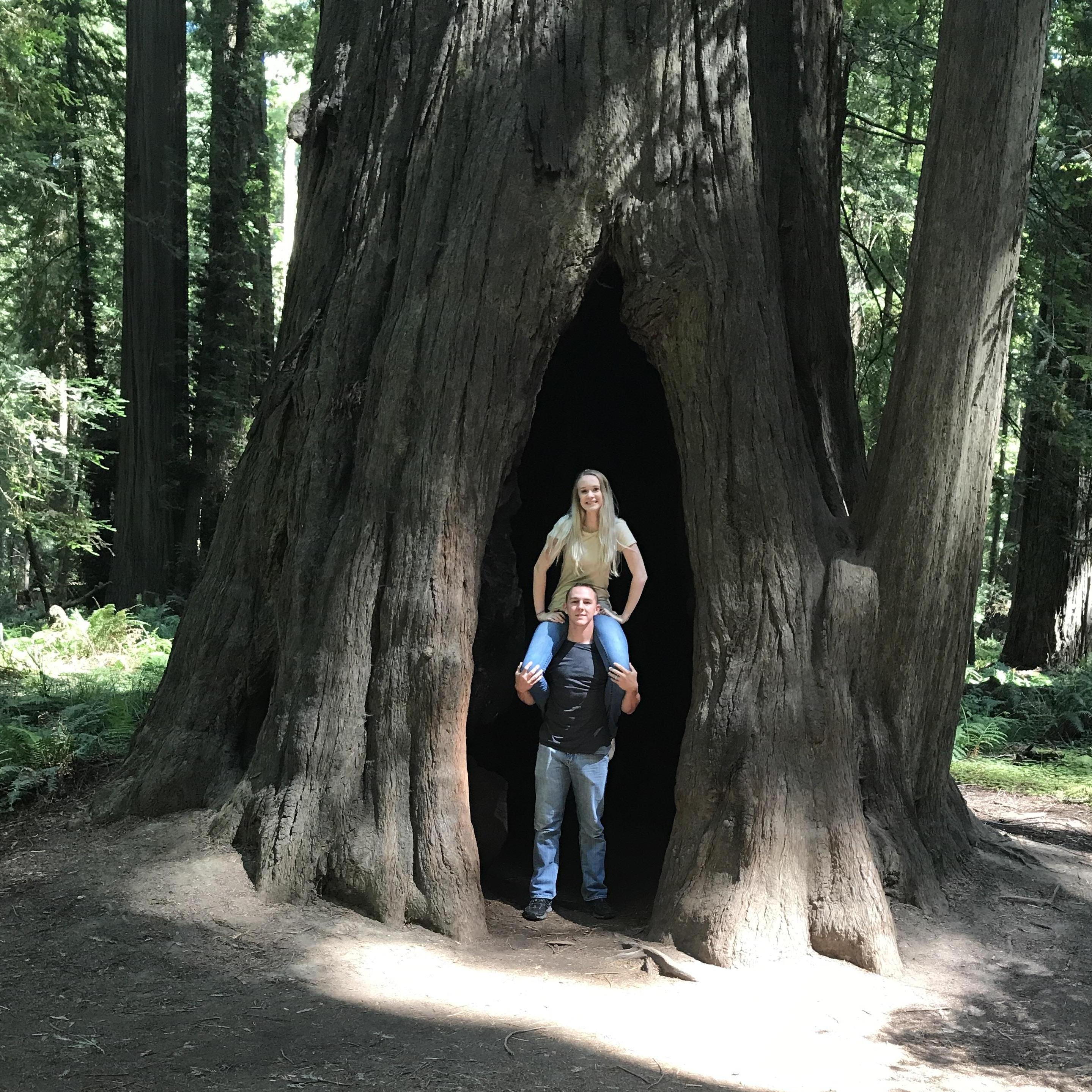 Our trip to Sequoia National Park