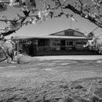 Johnson Orchards