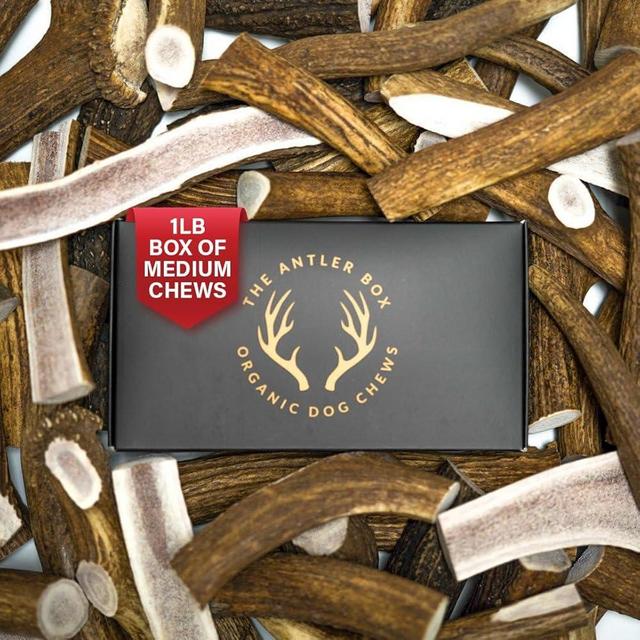The Antler Box Premium Elk Antler Dog Chews (1 Pound Box) (Medium (4 Pieces) Whole/Split Mixed)