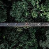 Arenal Hanging Bridges