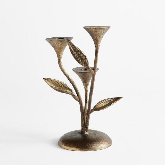 Botanical Taper Holder, Large, 11" - Brass