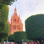 Allende Garden
