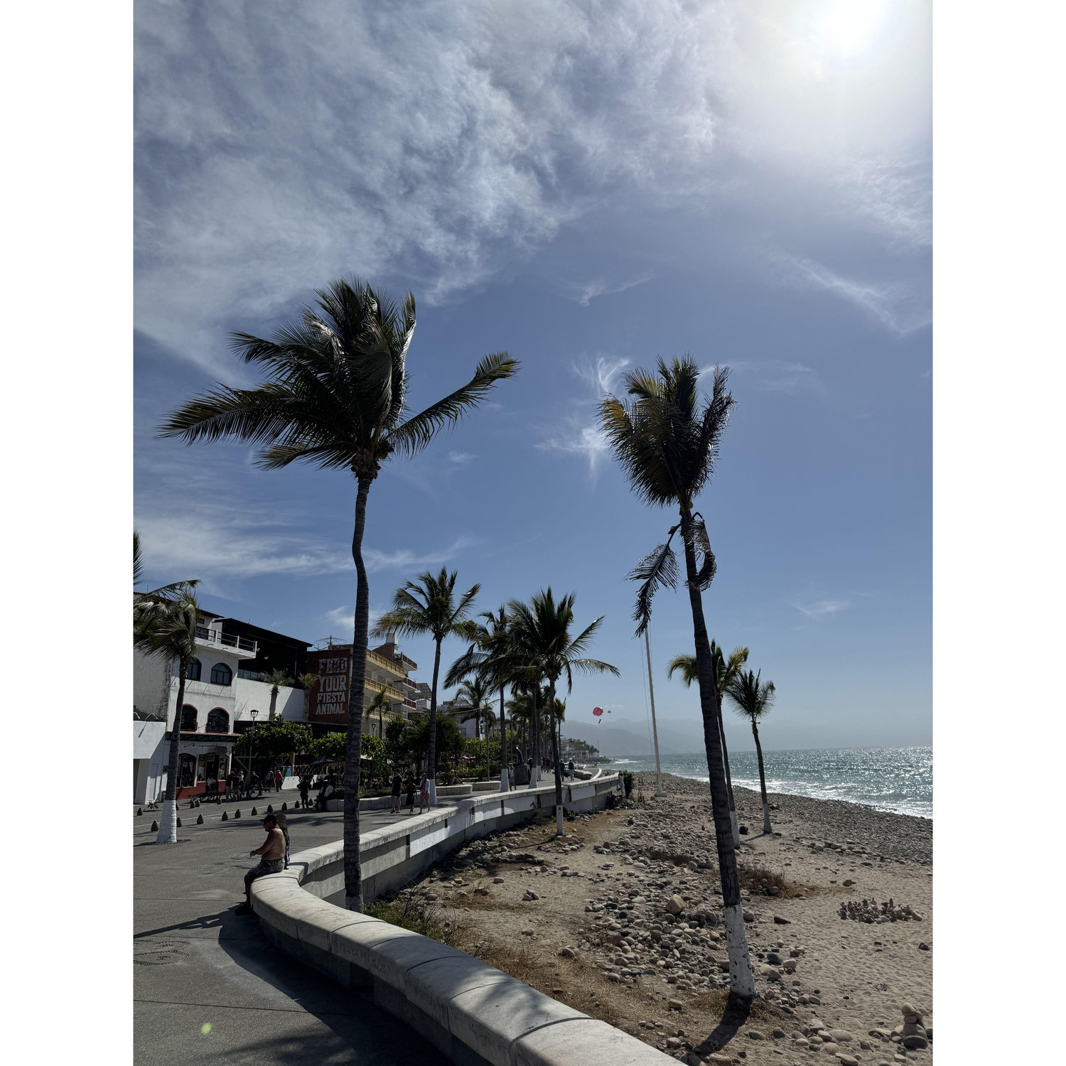 Puerto Vallarta, Jalisco, Mexico