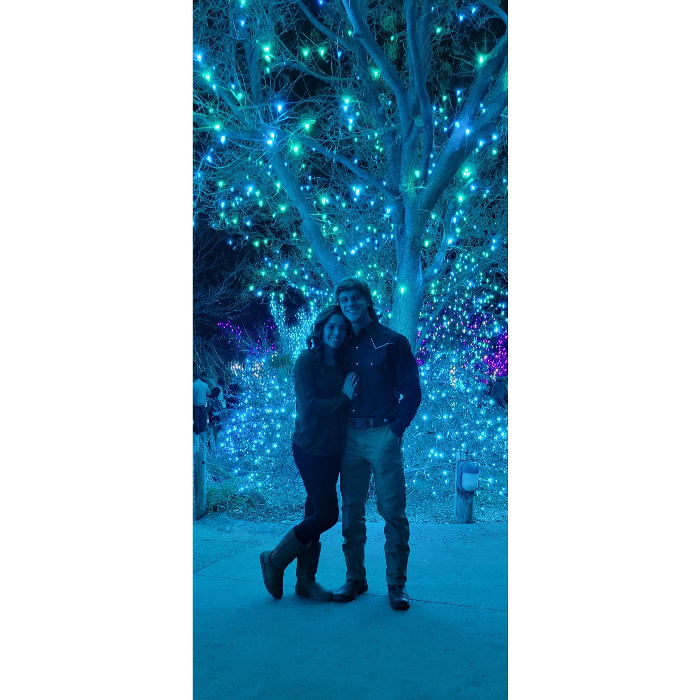 Christmas Denver Zoo Lights Date 2021