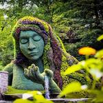 Atlanta Botanical Garden