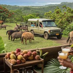 Rum Safari Tour for two - Kauai