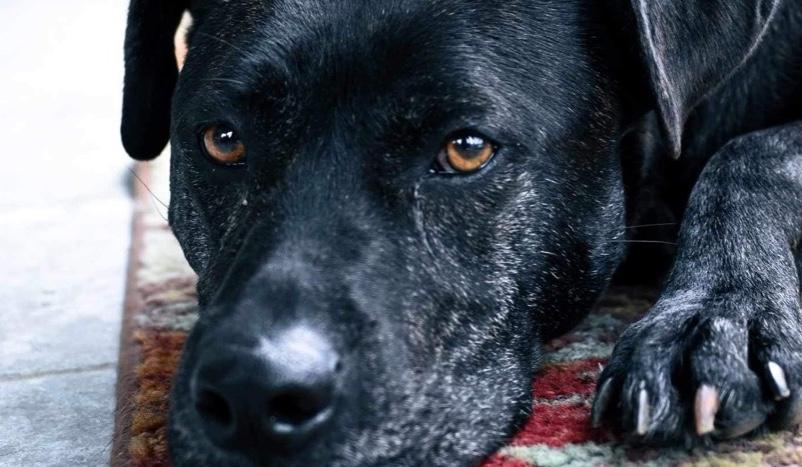 The Wedding Website of Emily Runk and Benjamin Small