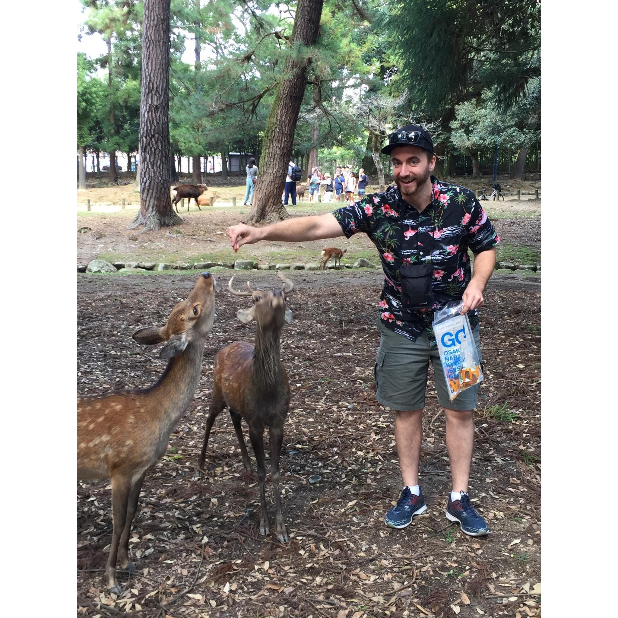 Bob feeding deer