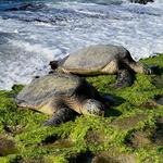 Guide of Places We Love!