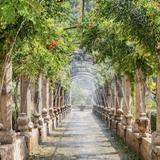 JARDINS // Jardins d'Alfàbia