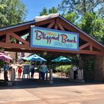 Disney's Blizzard Beach Water Park