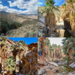 Indian Canyons Trails