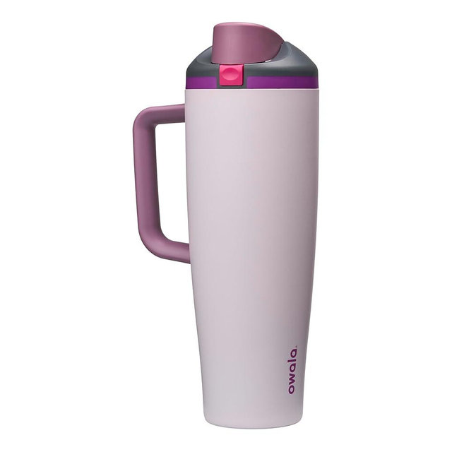 Owala FreeSip Tumbler Insulated Stainless Steel Water Bottle with Built-in Straw and Side Handle, For Travel, Work, School, and Sports, 40oz, BPA Free, Leak Proof, Dreamy Field
