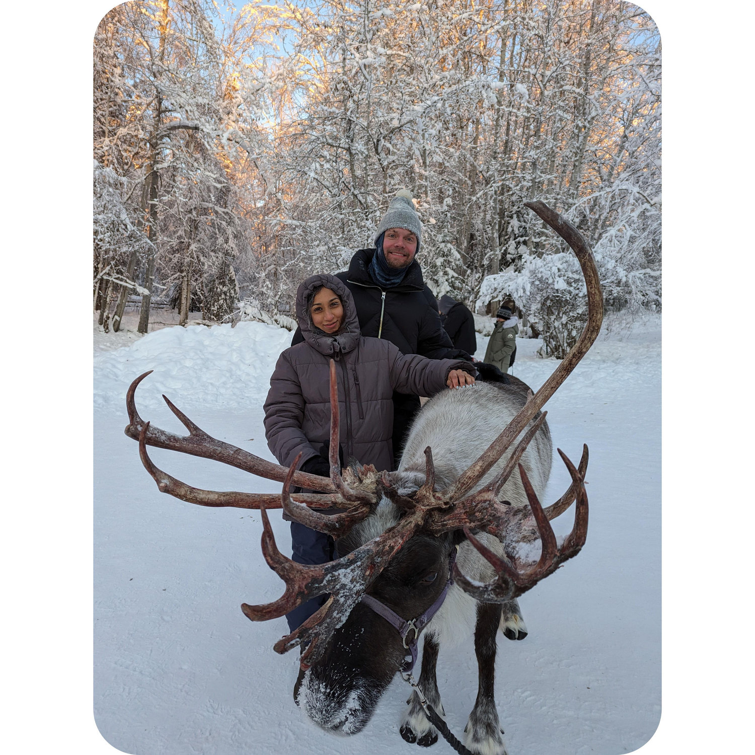 Getting engaged in North Pole, Alaska