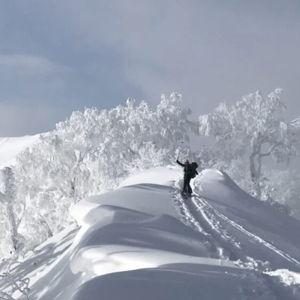 Backcountry day ski guide in Japan