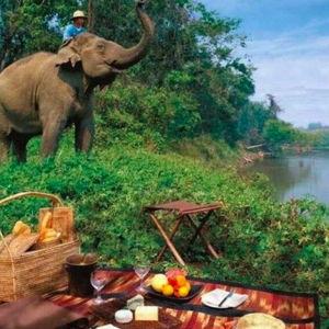 Elephant trekking experience / Experiencia de trekking elefantes