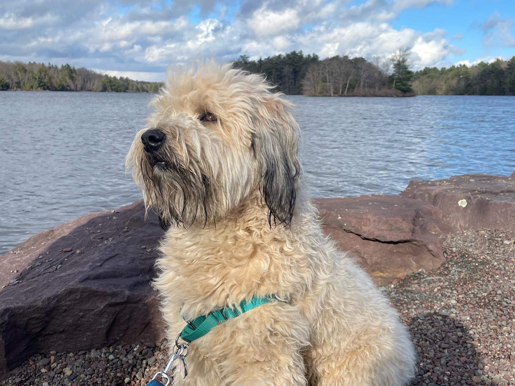 The Wedding Website of Mallory Rhodes and Matthew Duffy