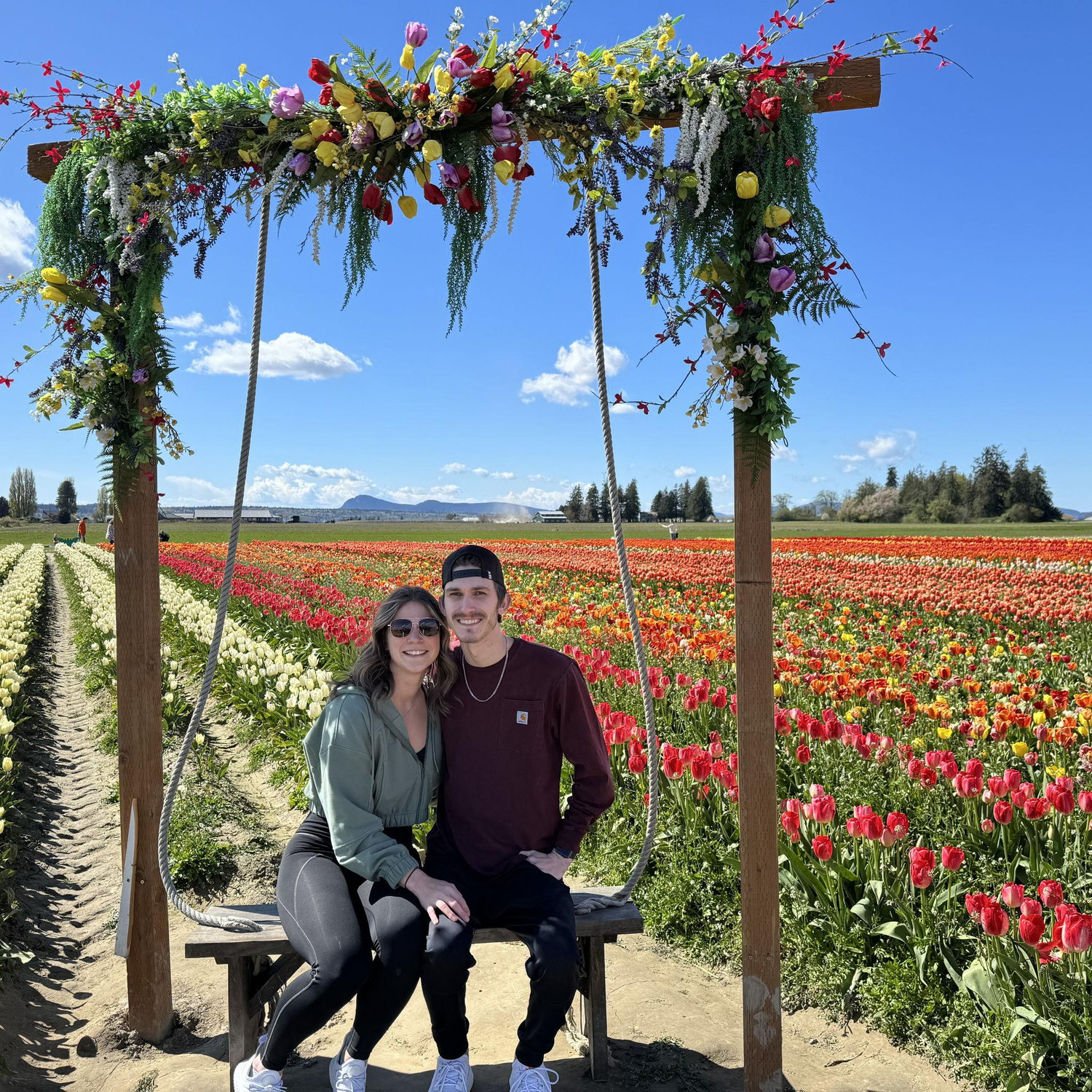 Tulip Fields