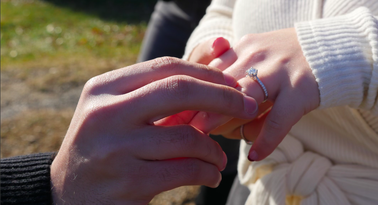 The Wedding Website of Megan Motarjeme and David Motarjeme II