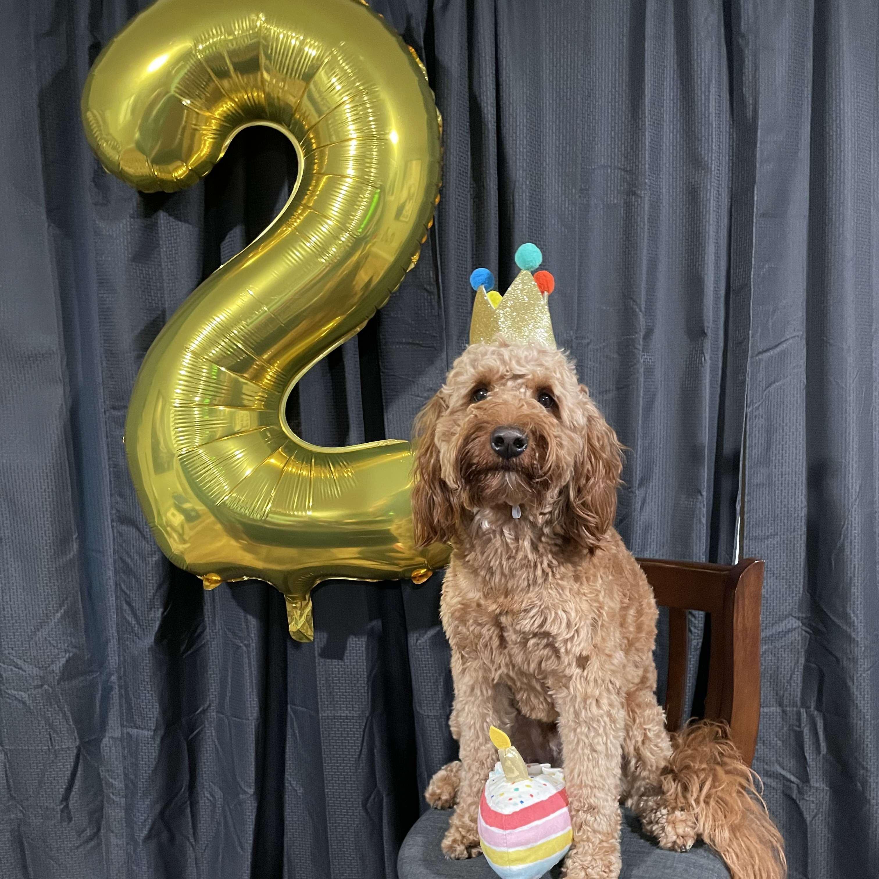 Jameson's Second Birthday! July 2021