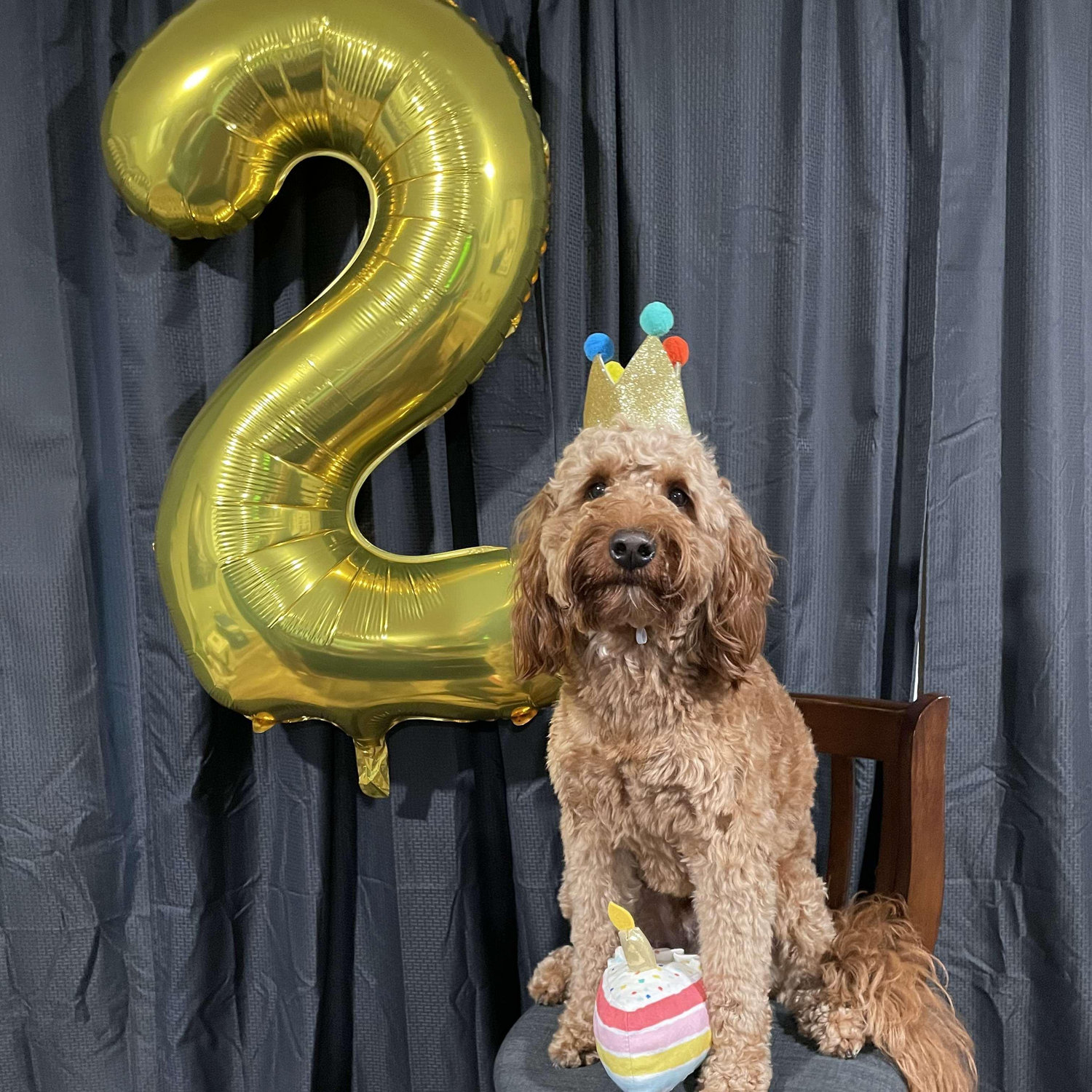 Jameson's Second Birthday! July 2021