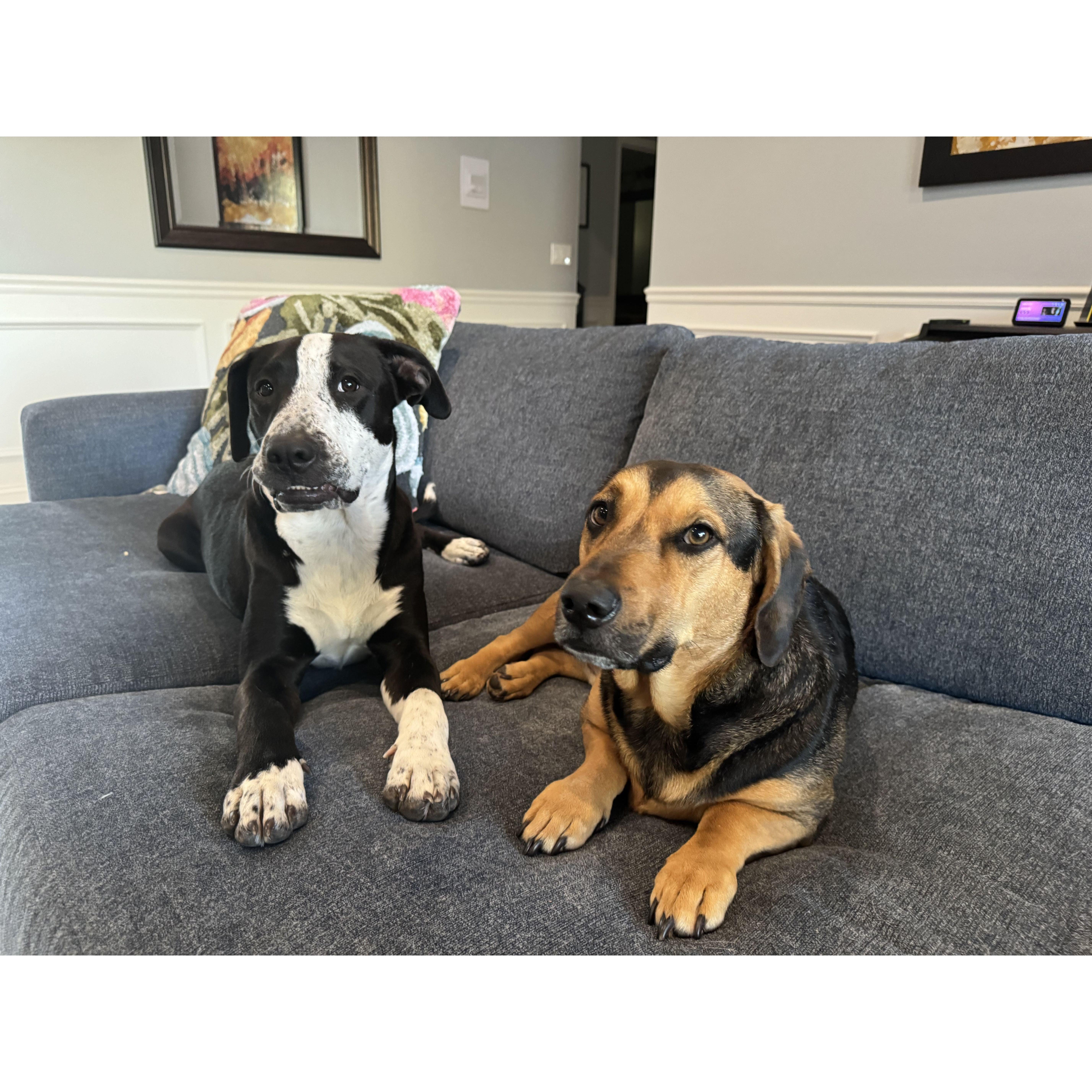 Gus + Gids