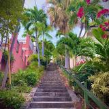99 Steps