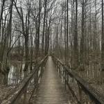 Sam D. Hamilton Noxubee National Wildlife Refuge