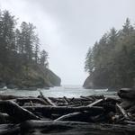 Cape Disappointment
