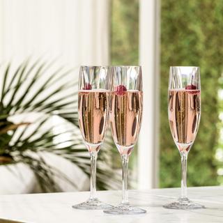 Unbreakable Champagne Flute, Set of 4