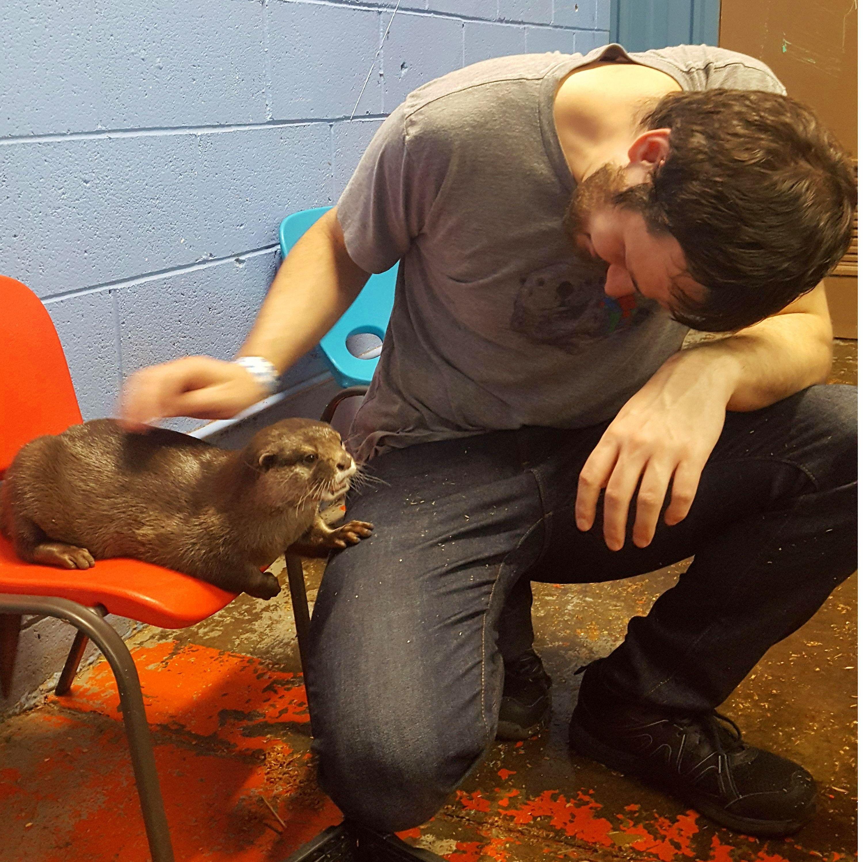 That one time we went to a petting zoo and got to pet otters