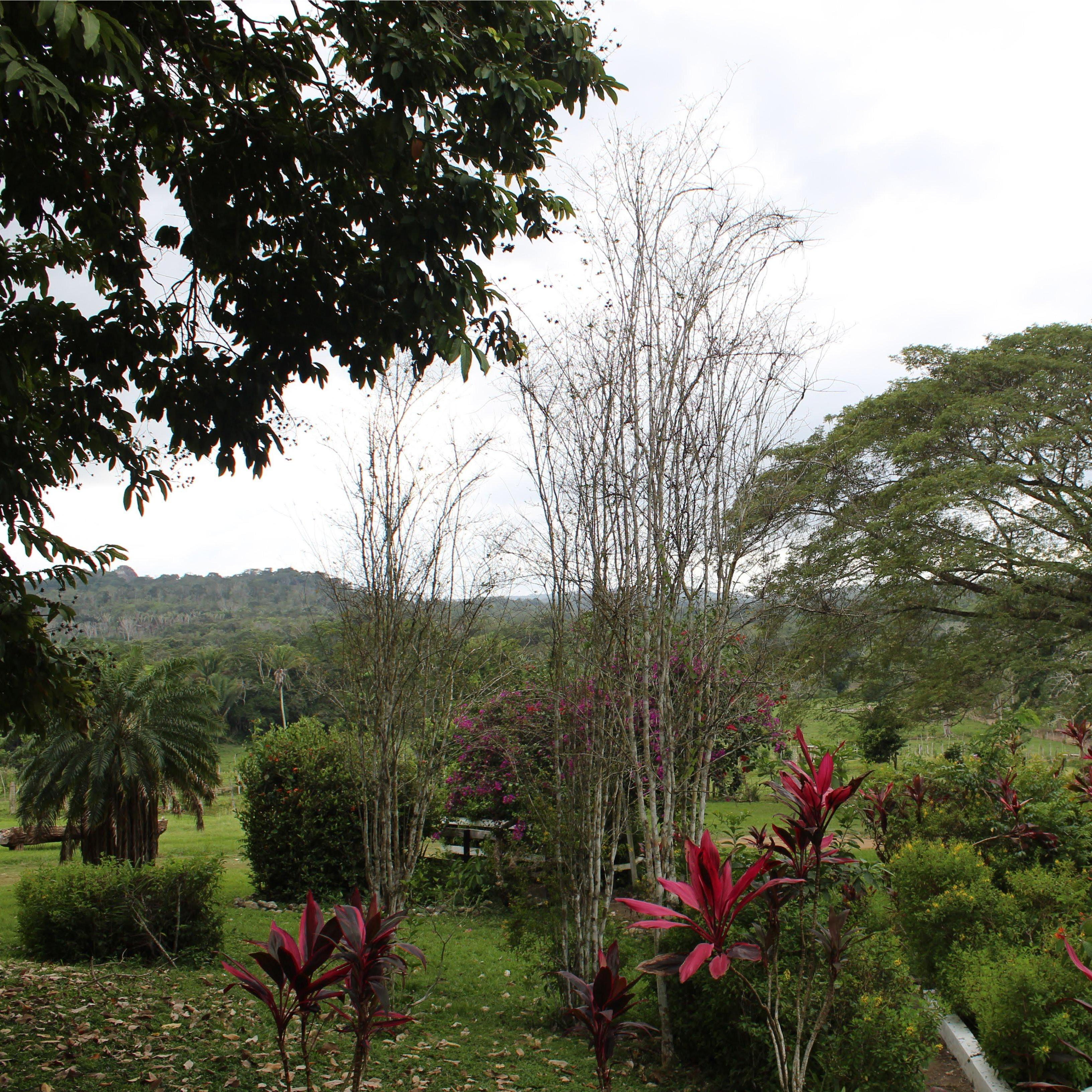 One of the best views from Dominic's hotel, Nabitunich