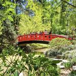 Sarah P. Duke Gardens