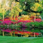 Middleton Place Museum and Gardens