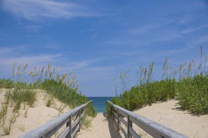 The Wedding Website of Renee Plante and Jimmy Lowney