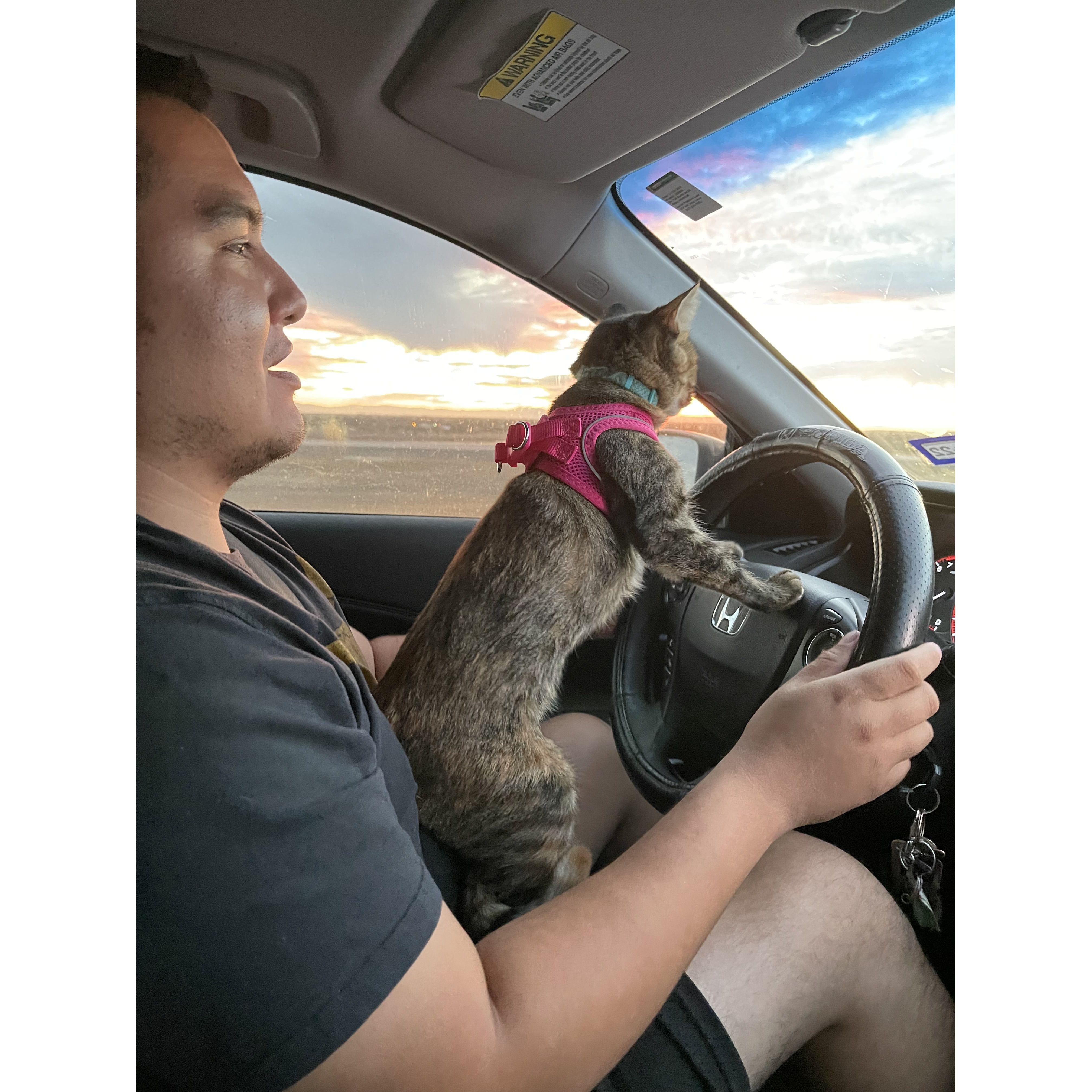 October 1st 2021 - On the road to move to Washington.