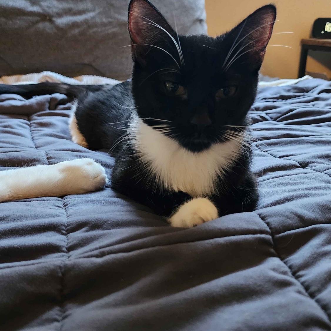 Amelie being a refined princess