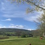 RE Farm Cafe at Windswept Farm