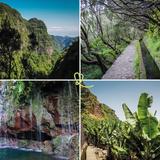 Levada das 25 Fontes e Risco