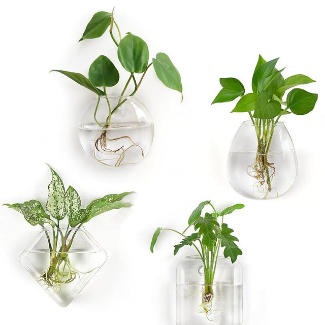 Mkono Propagation Wall Hanging Planter Glass Terrarium Flower Vases Holder for Indoor Plants, Home Living Room Office Decor Plant Lover Gifts, Set of 4