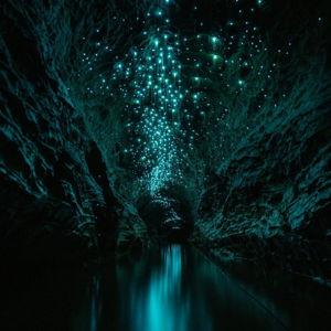 Okohua Glowworm Cave Adventure