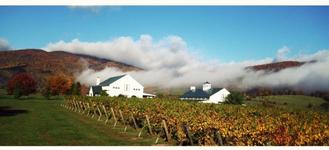 King Family Vineyards