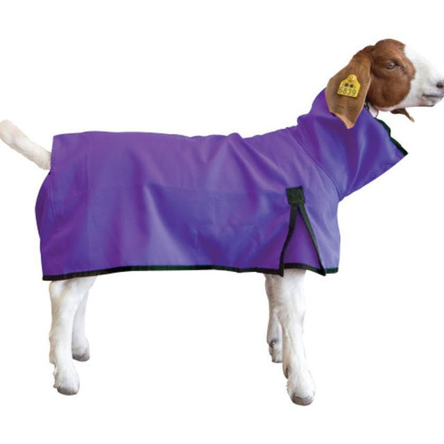 Weaver Livestock Goat Blanket