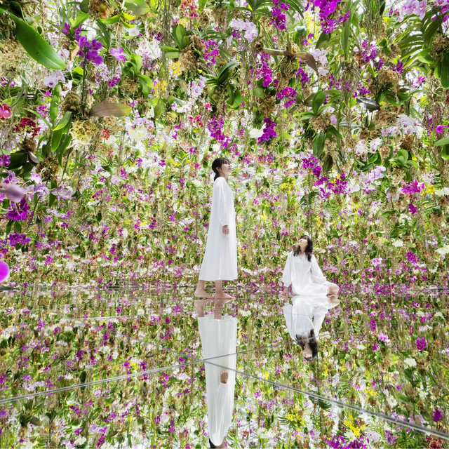 Tokyo: teamLab Planets - Tickets for (2)