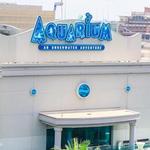 Downtown Aquarium