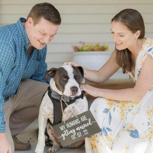 Our dog Mikey aka Boopy. Mikey usually has a happy demeanor but when forced to wear a bow tie and pose for a wedding he wasn’t invited to he is less than thrilled.