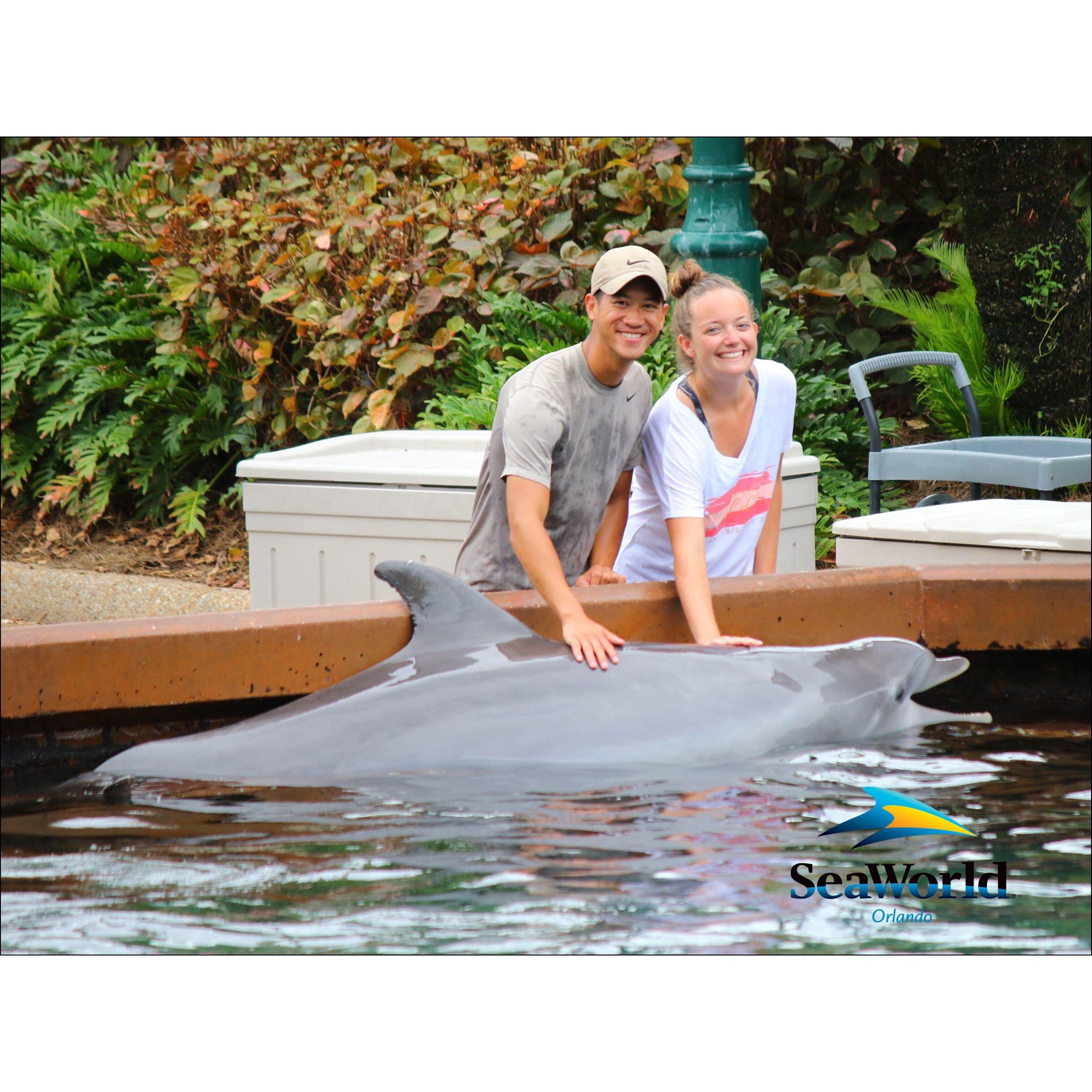 SeaWorld - 2017