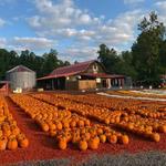 Burt’s Farm