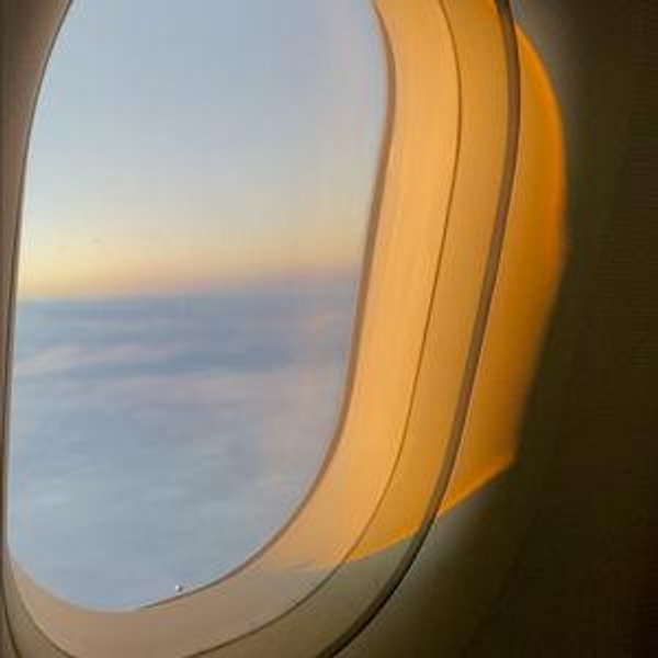 Safari Plane Tickets